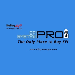 EFI System Pro logo