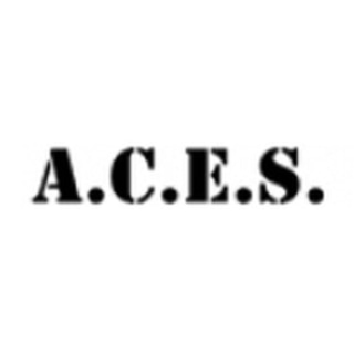 A.C.E.S. Flight Simulation logo
