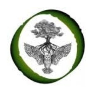 Oak Tree Owl Bookkeeping logo